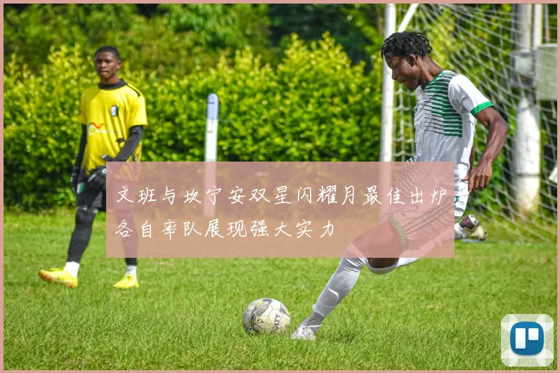 文班与坎宁安双星闪耀月最佳出炉各自率队展现强大实力