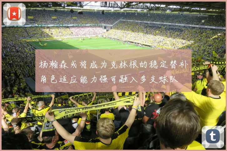 杨瀚森或将成为克林根的稳定替补角色适应能力强可融入多支球队