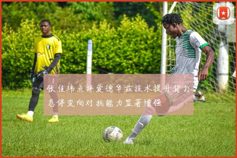 张佳玮点评爱德华兹技术提升背打急停变向对抗能力显著增强