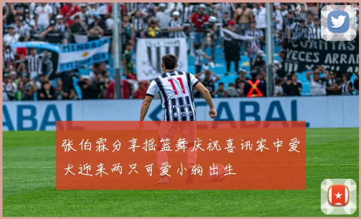 张伯霖分享摇篮舞庆祝喜讯家中爱犬迎来两只可爱小狗出生