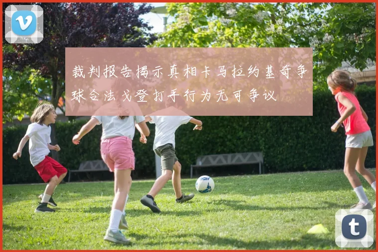 裁判报告揭示真相卡马拉约基奇争球合法戈登打手行为无可争议