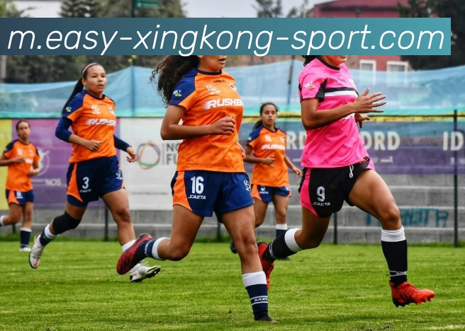 星空体育平台生态图